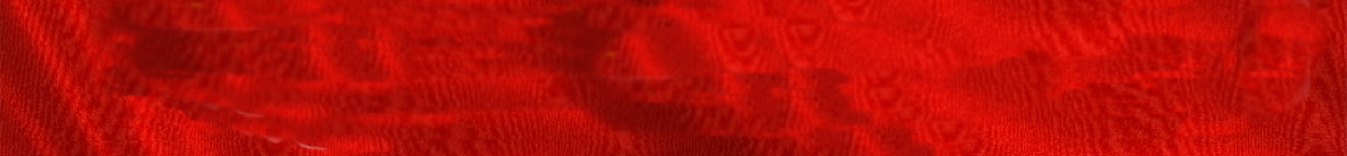 Frome Symphony Footer